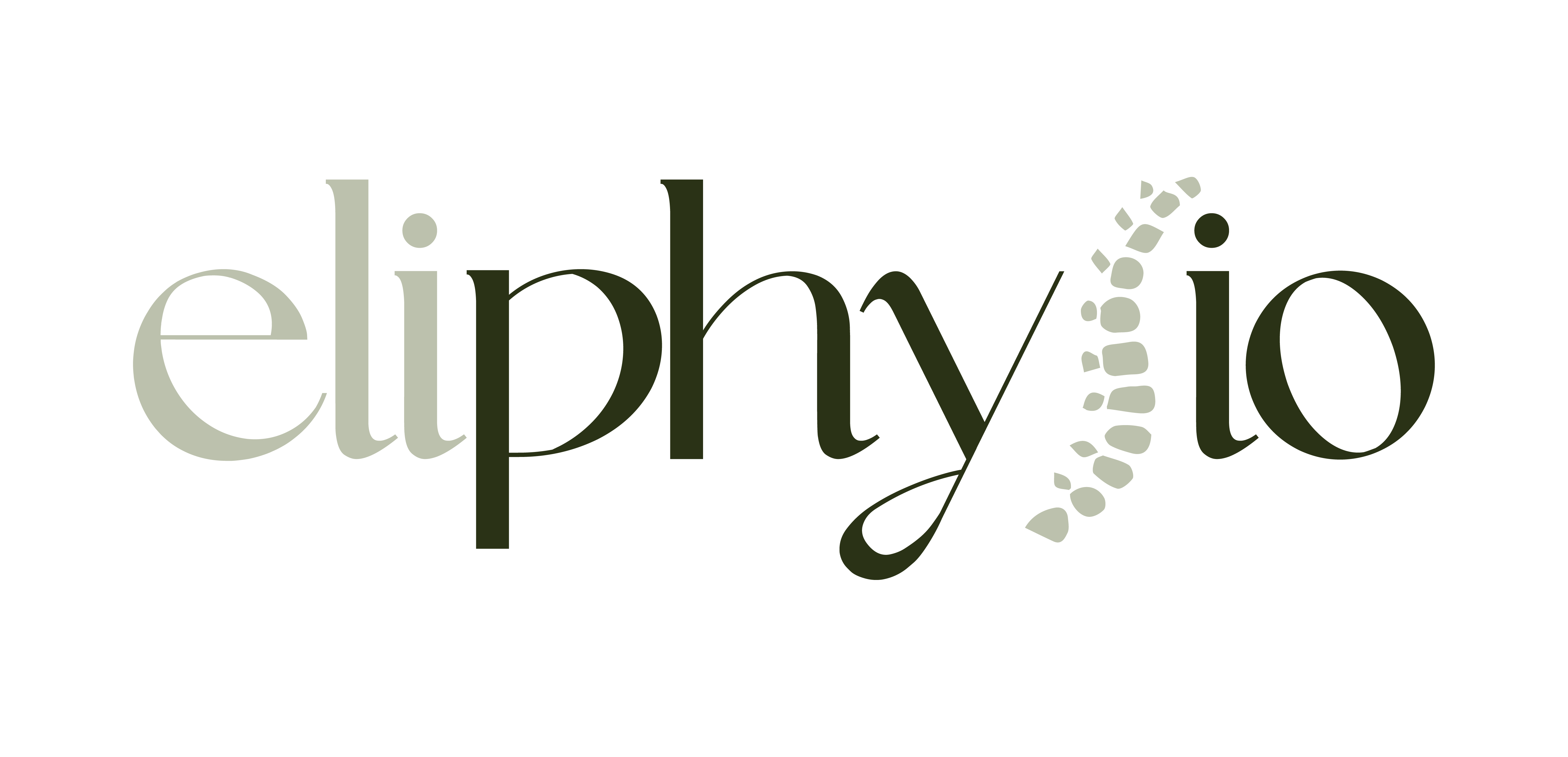 Strokovna &scaron;portna in rehabilitacijska fizioterapija